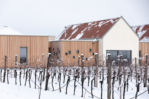 Weingut Meinklang, Foto: Sima Prodinger