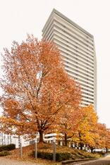 Bruckner Tower, Foto: tschinkersten